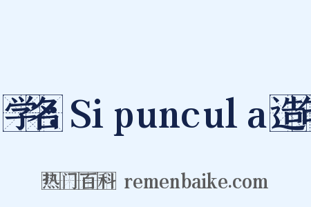 学名：Sipuncula造句是什么意思的图片